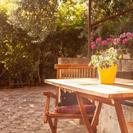 Apartment Borik Pula Luaran gambar